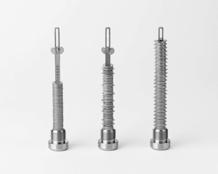 Cryptosteel Capsule Duo •