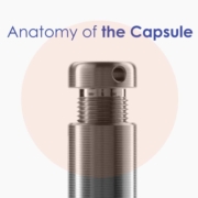Anatomy of the Capsule
