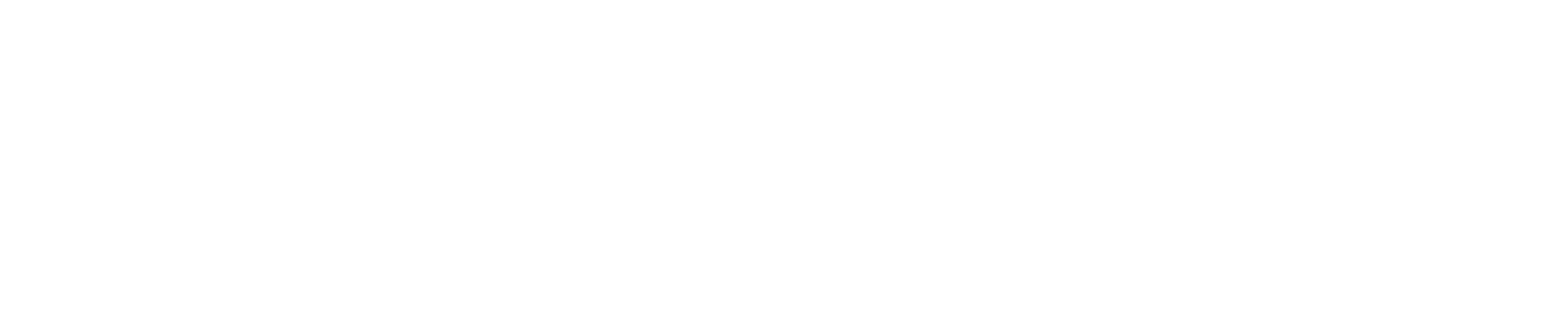 logo cryptostee footer