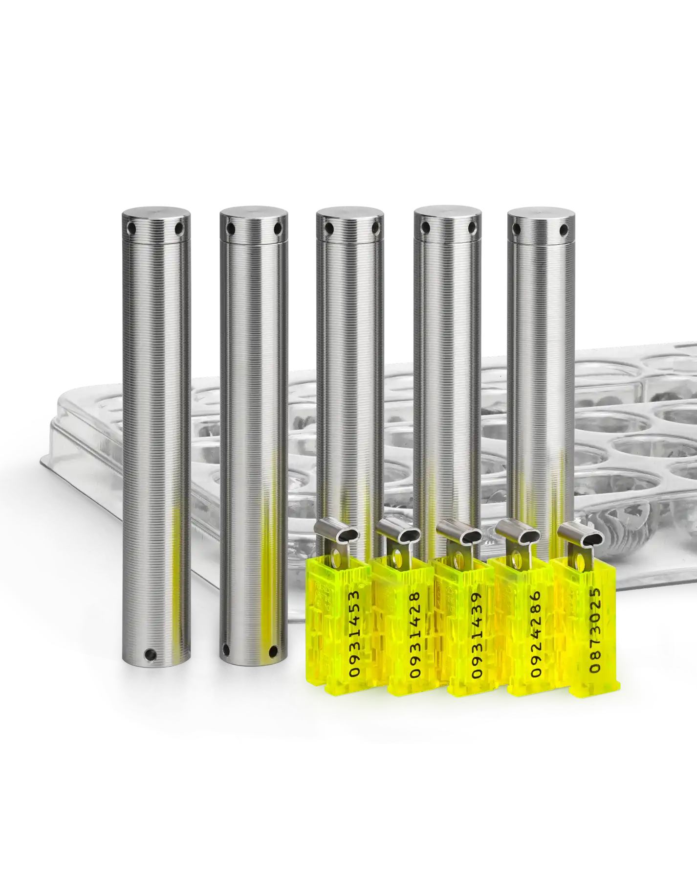 Seed24 MAX QUINTET - Classic